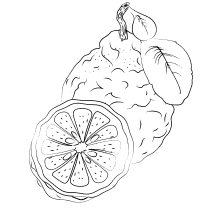 Ingrdiënt