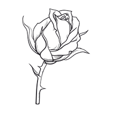 Ingrdiënt