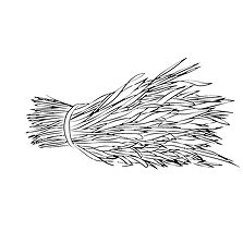 Ingrdiënt